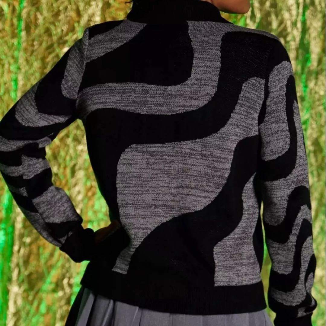 wicked for good ウィキッド エルファバ カーディガン シズ学校 - メルカリ