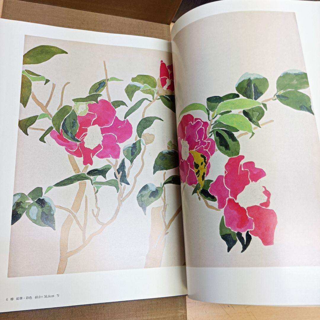 m010807fk 福田平八郎 作品と素描 全二巻揃 光村図書