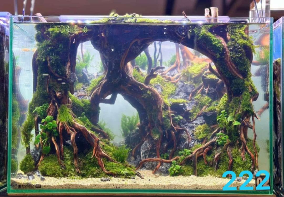 水槽用流木 アクアリウムレイアウト。水槽用流木 。水槽用レイアウト