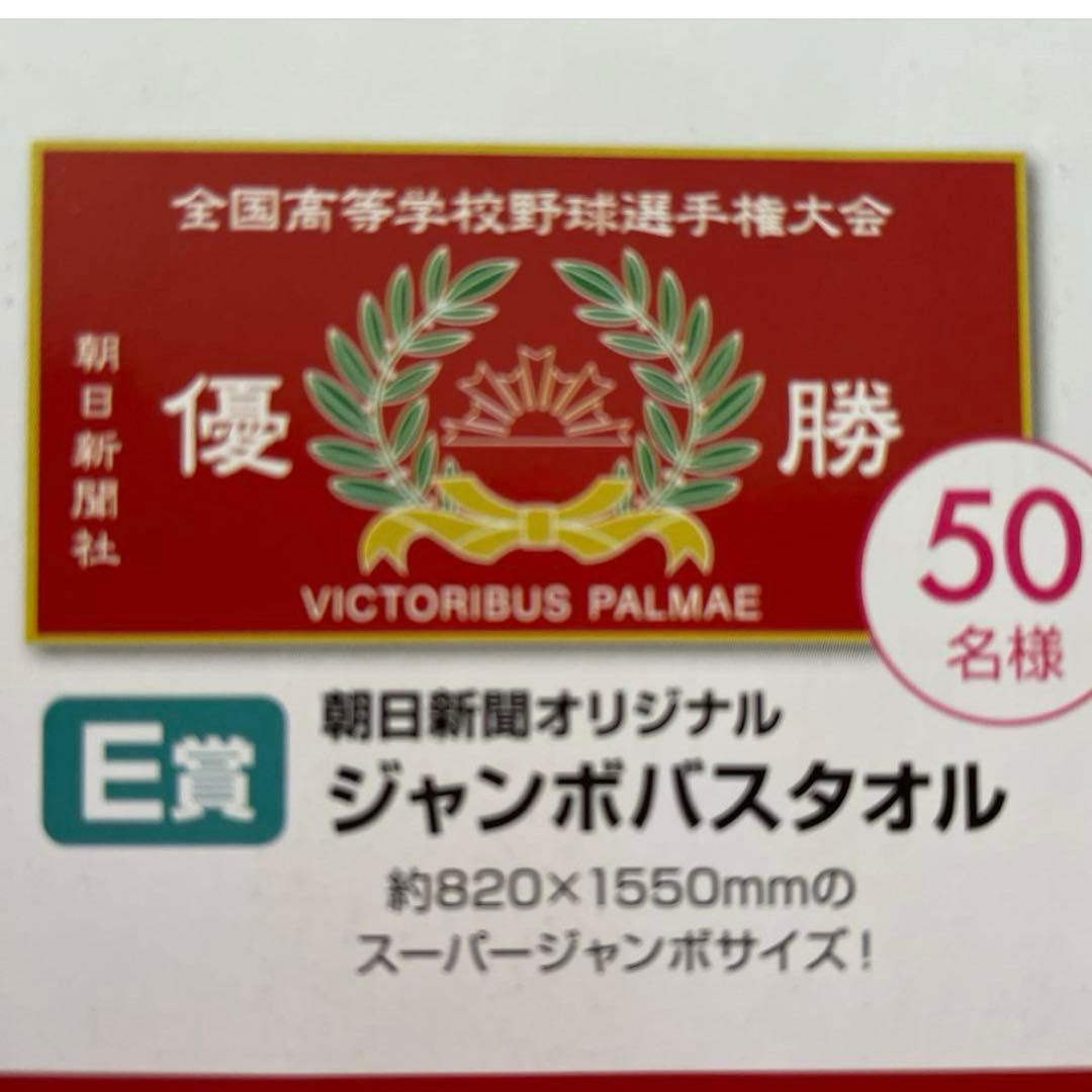 朝日新聞オリジナル 高校野球神奈川大会優勝旗風 ジャンボバスタオル
