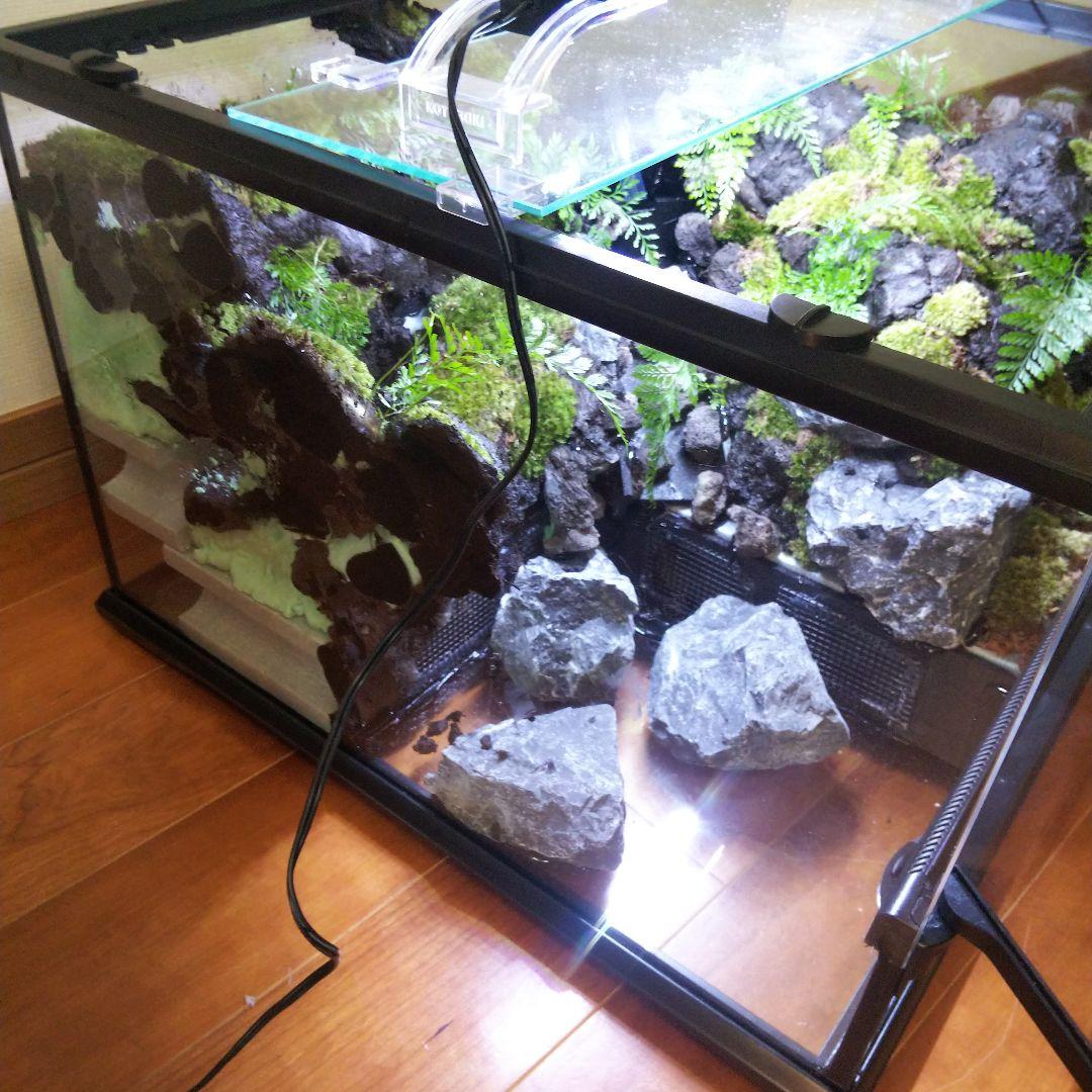 受注生産】滝のあるアクアテラリウム グラステラリウム 4530イモリウム