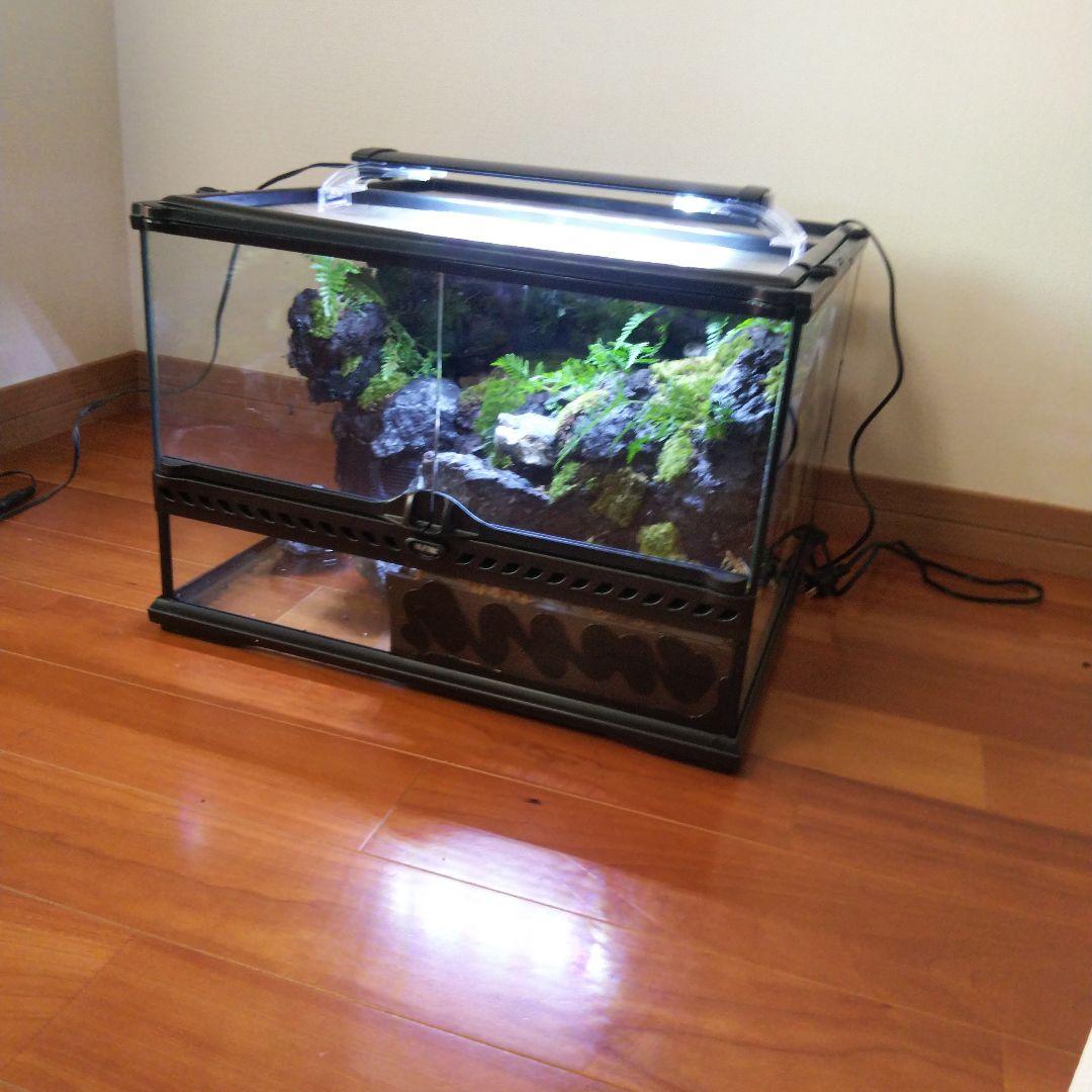 受注生産】滝のあるアクアテラリウム グラステラリウム 4530イモリウム