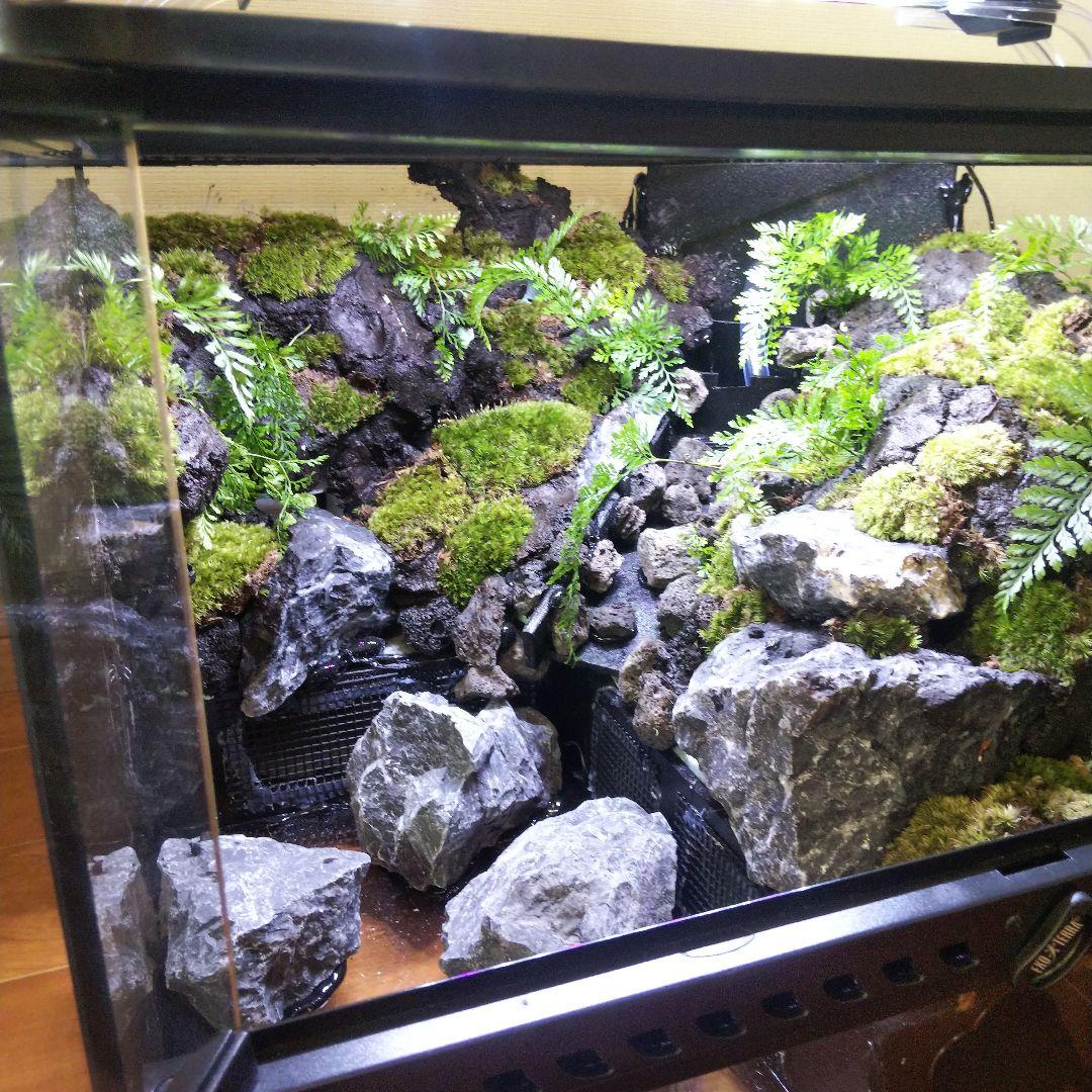 受注生産】滝のあるアクアテラリウム グラステラリウム 4530イモリウム