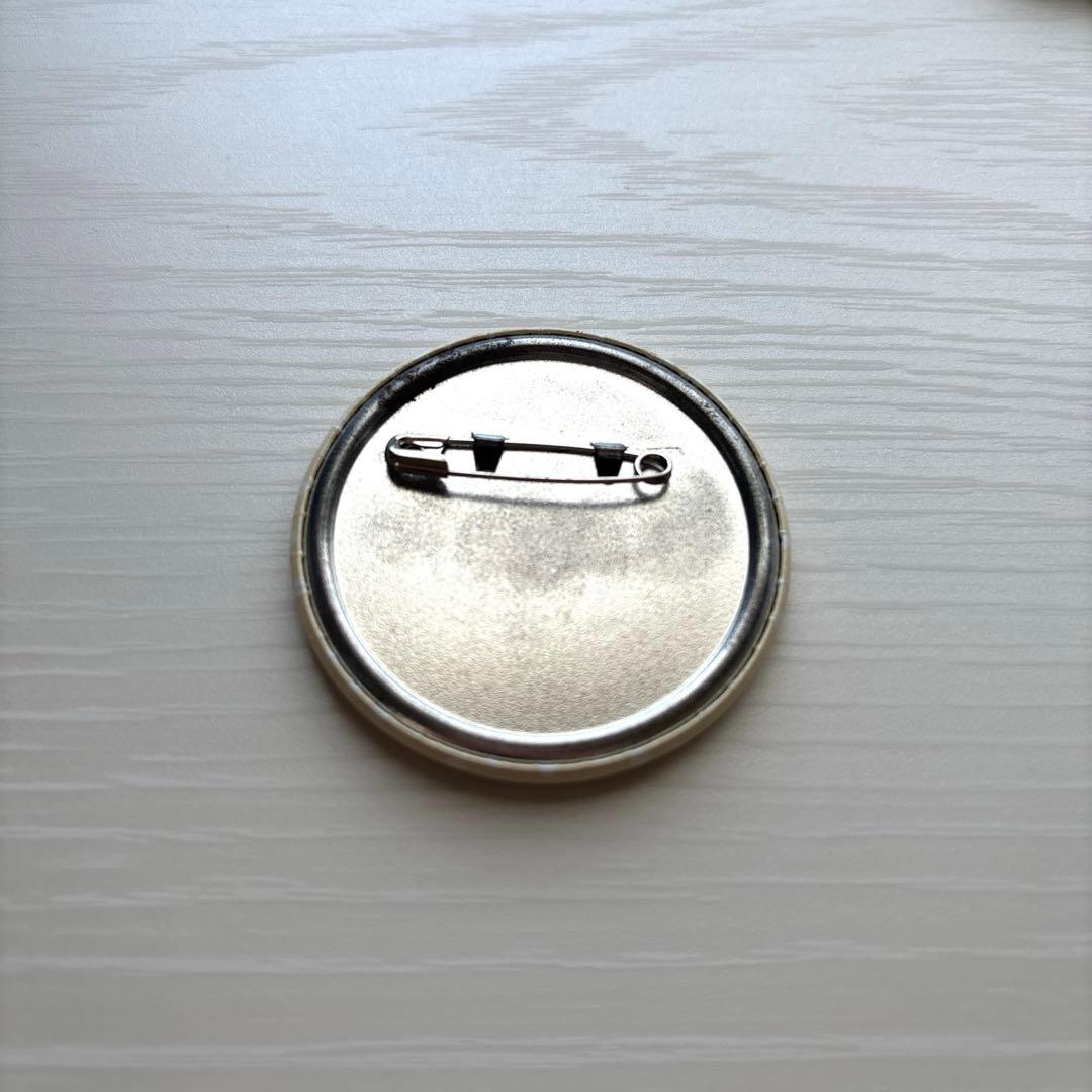 カラフルピーチ たっつん 初期 缶バッジ