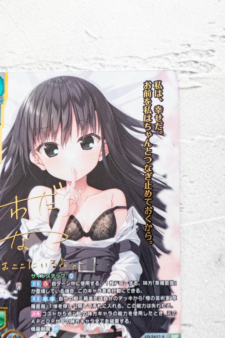 lycee 魂の帰る場所 夏目 藍 SSP サイン ケロQ・枕 リセ