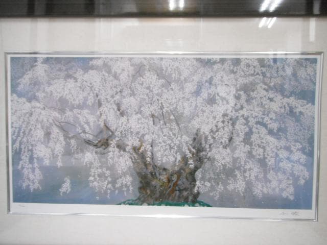 真作 中島千波 ジクレー 坪井の枝垂れ桜 額装 直筆サイン - メルカリ