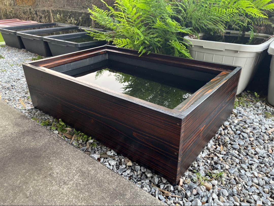 60Lトロ舟と木枠のセット　簾と産卵床のおまけ付き　メダカ　ビオトープ