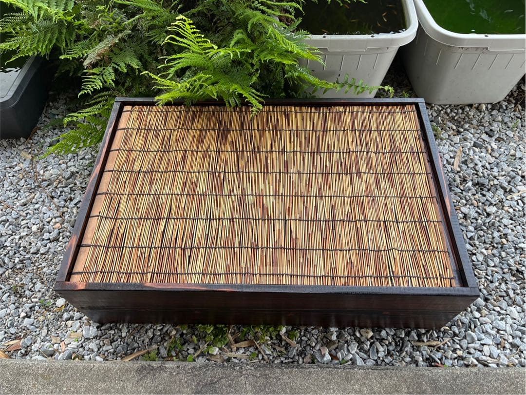 60Lトロ舟と木枠のセット　簾と産卵床のおまけ付き　メダカ　ビオトープ