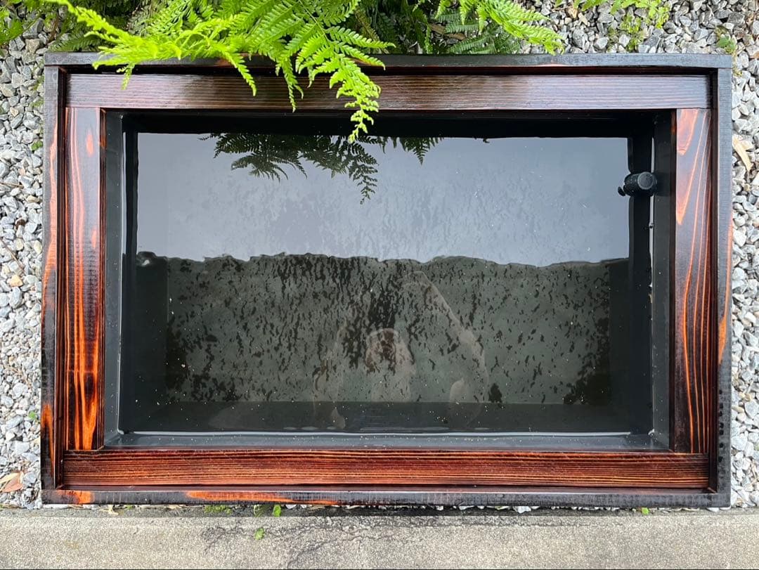 60Lトロ舟と木枠のセット　簾と産卵床のおまけ付き　メダカ　ビオトープ