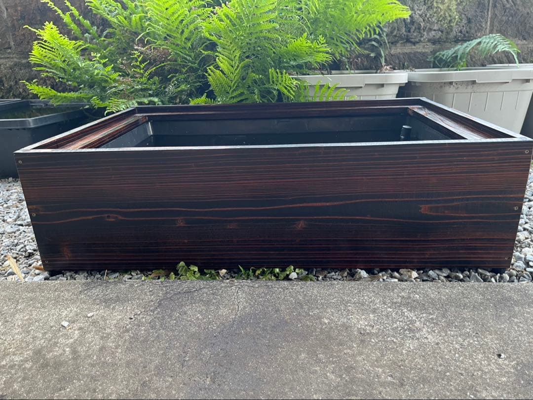 60Lトロ舟と木枠のセット　簾と産卵床のおまけ付き　メダカ　ビオトープ