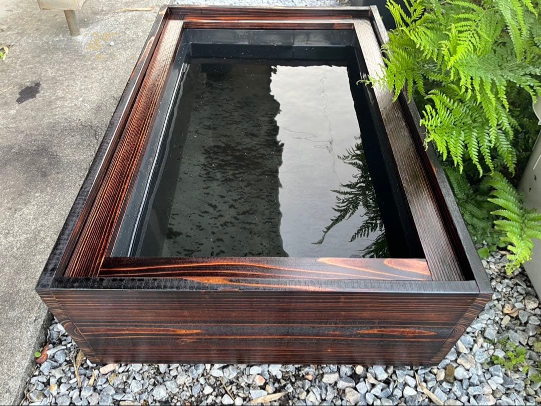 60Lトロ舟と木枠のセット　簾と産卵床のおまけ付き　メダカ　ビオトープ