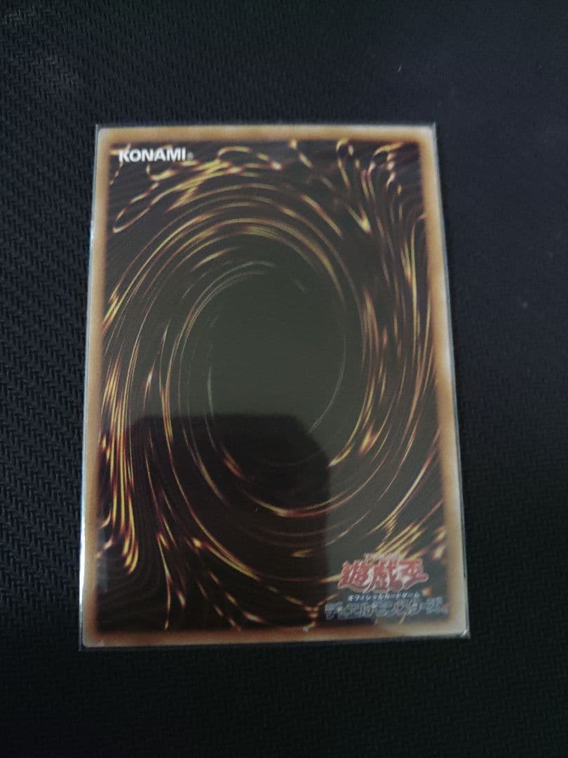 K9-17号\"Ripper\" プリシク