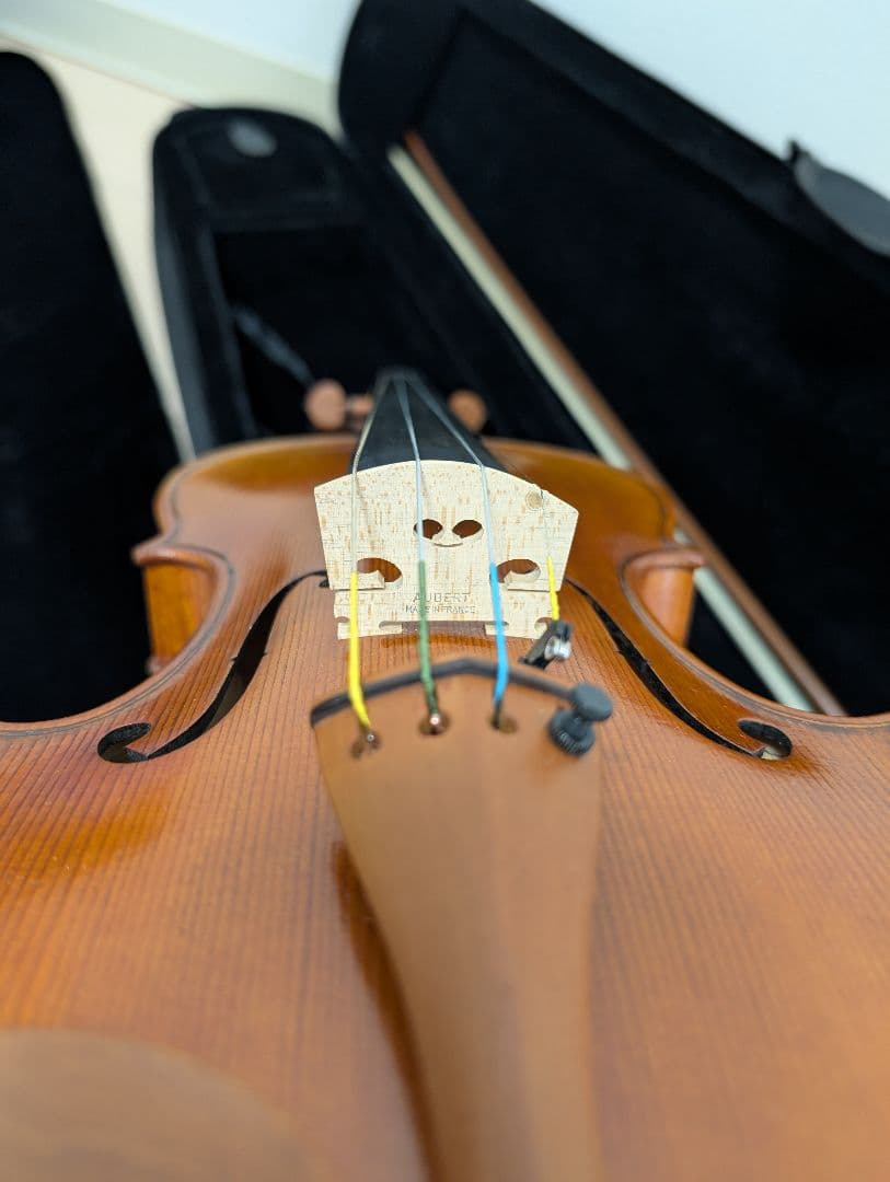 バイオリン 4/4 本体 ケース付き ニコロ サンティ