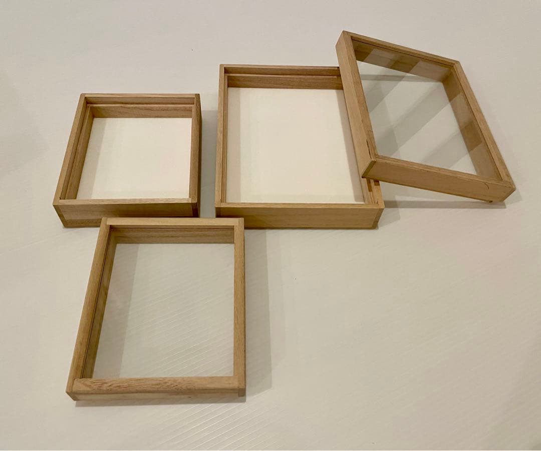 桐の標本箱 小、中10個セット