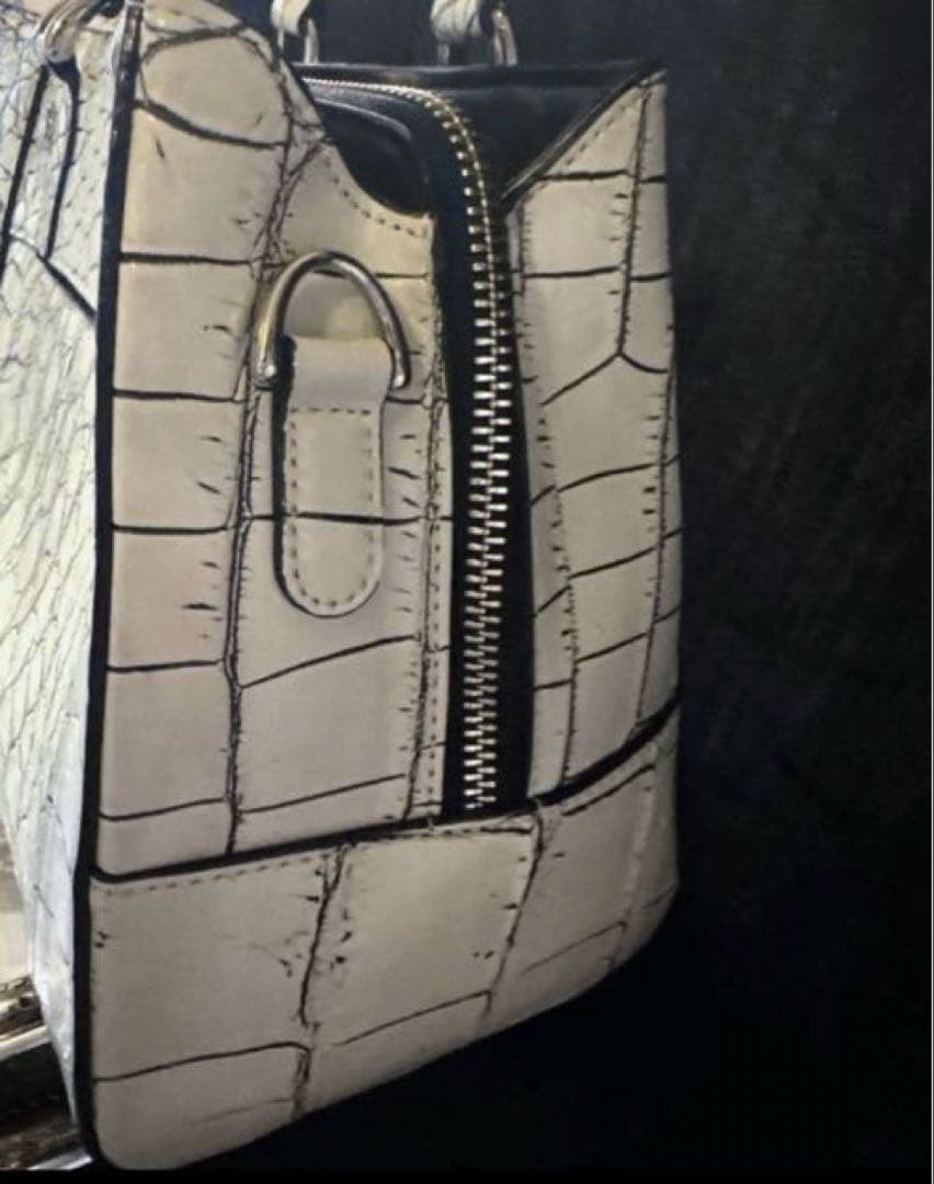 極美品 CROIX  リアルクロコレザー ハンドバッグ ミニトート