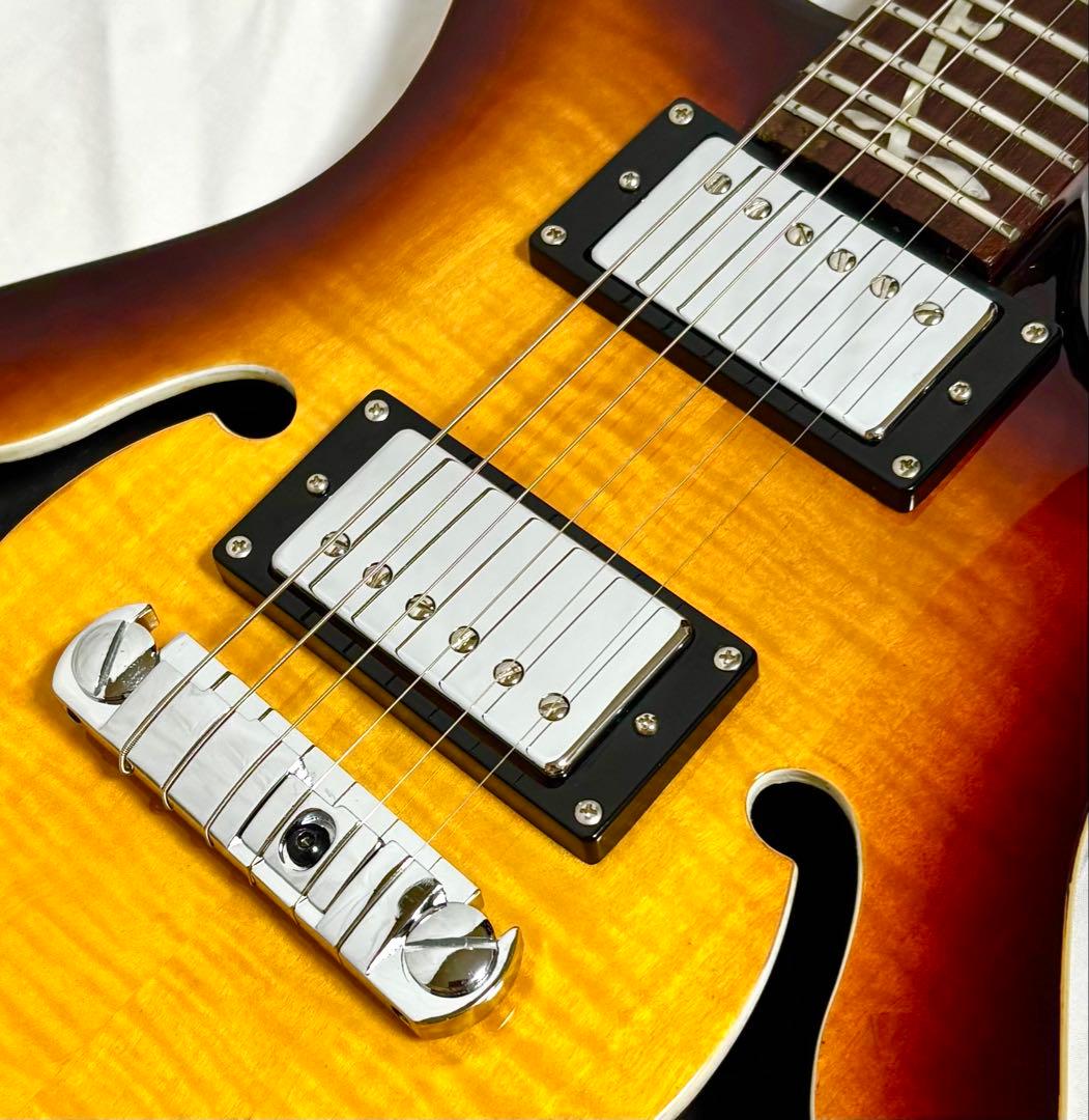 新品弦張替済】GFC セミアコ PRSタイプ Tree of Life - メルカリ