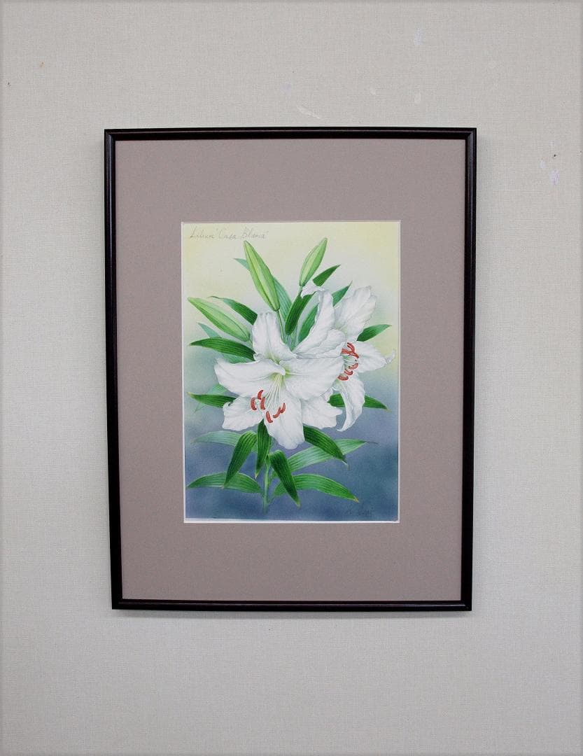 絵画】ボタニカルアート 「カサブランカ 純白の貴婦人」原画 - メルカリ