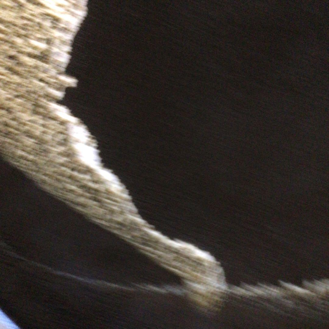 No4110 黒釉二彩大皿　陶印有　直径45.5cm 飾皿　陶磁器　送料無料