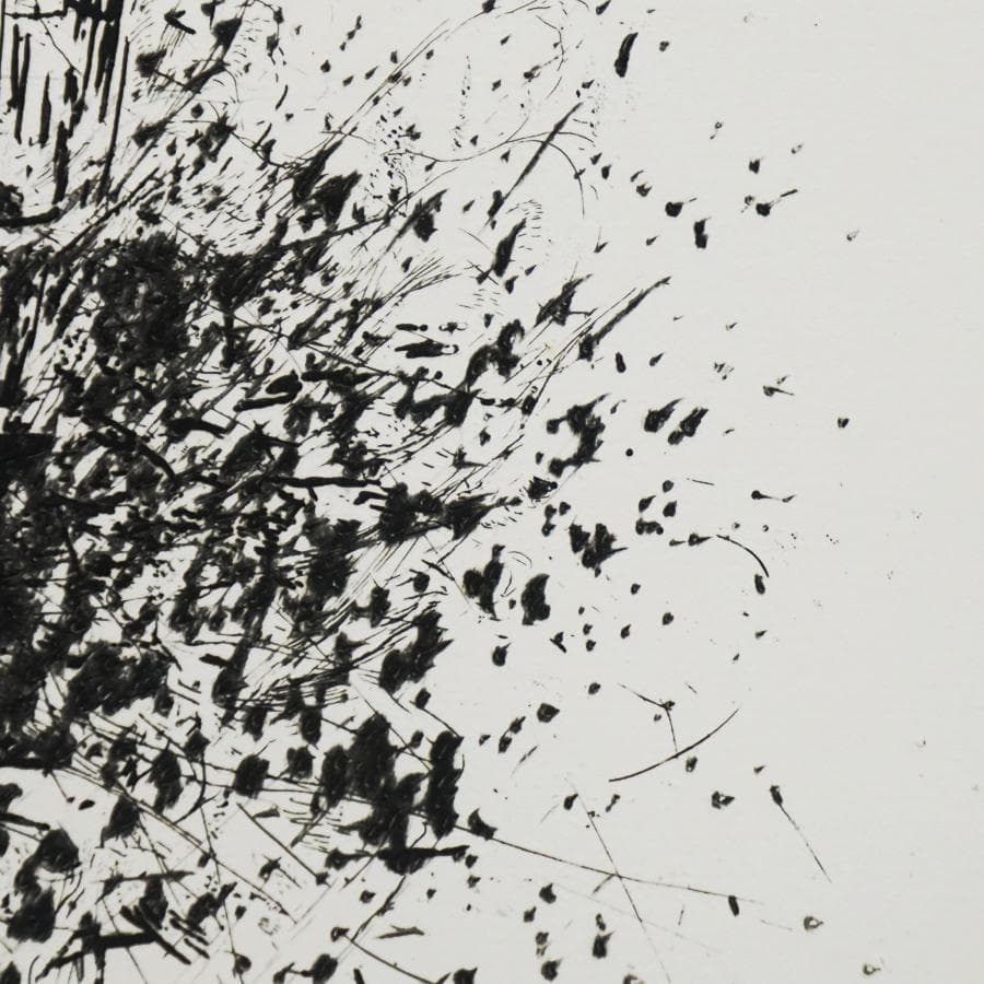 白木ゆり『ripeness-15』5/30 エッチング 版画 抽象画 絵画