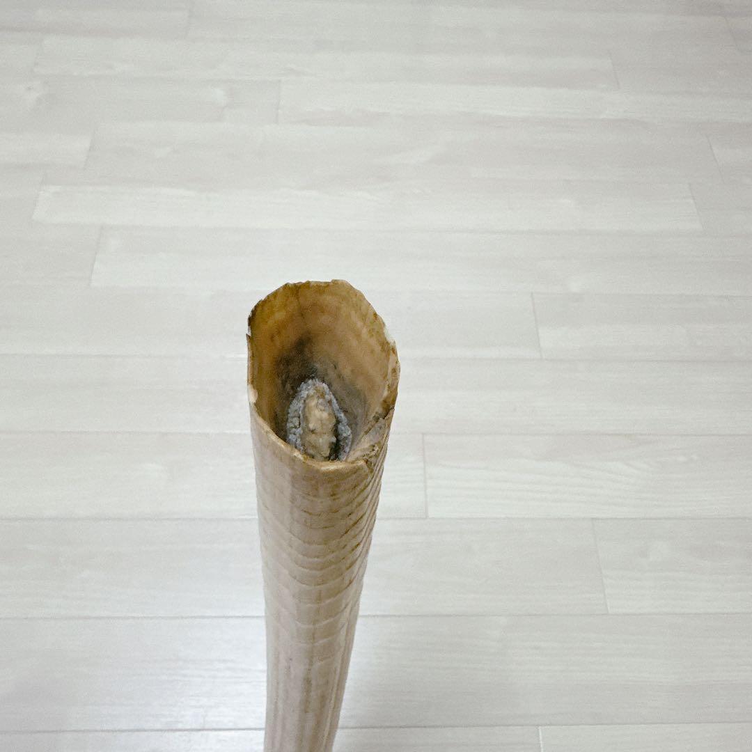 海象 セイウチ牙 1665g