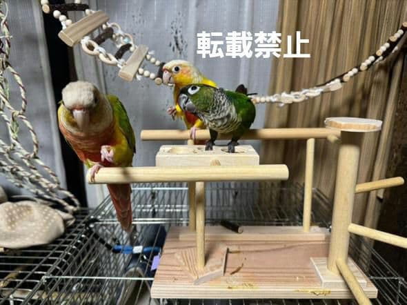 T56 止まり木 パーチ 門型 中型のインコちゃん用 スタンド