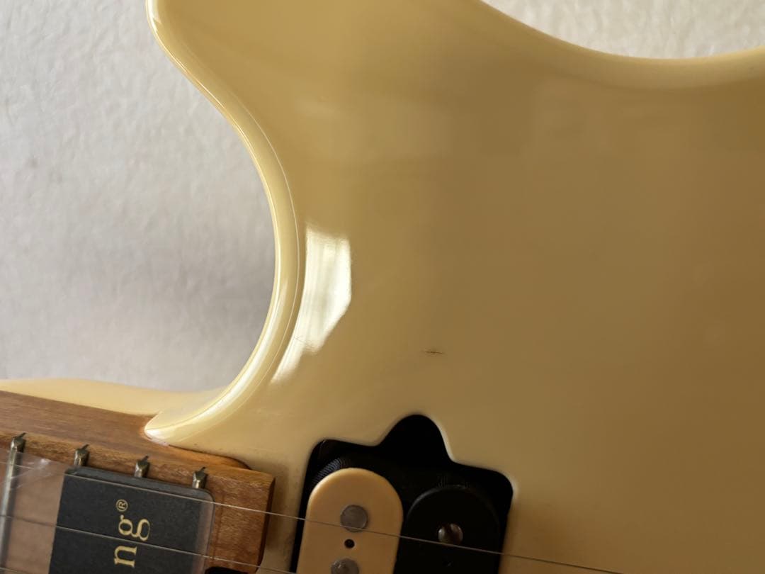 PeaveyWolfgang Special 、ハードケース付き