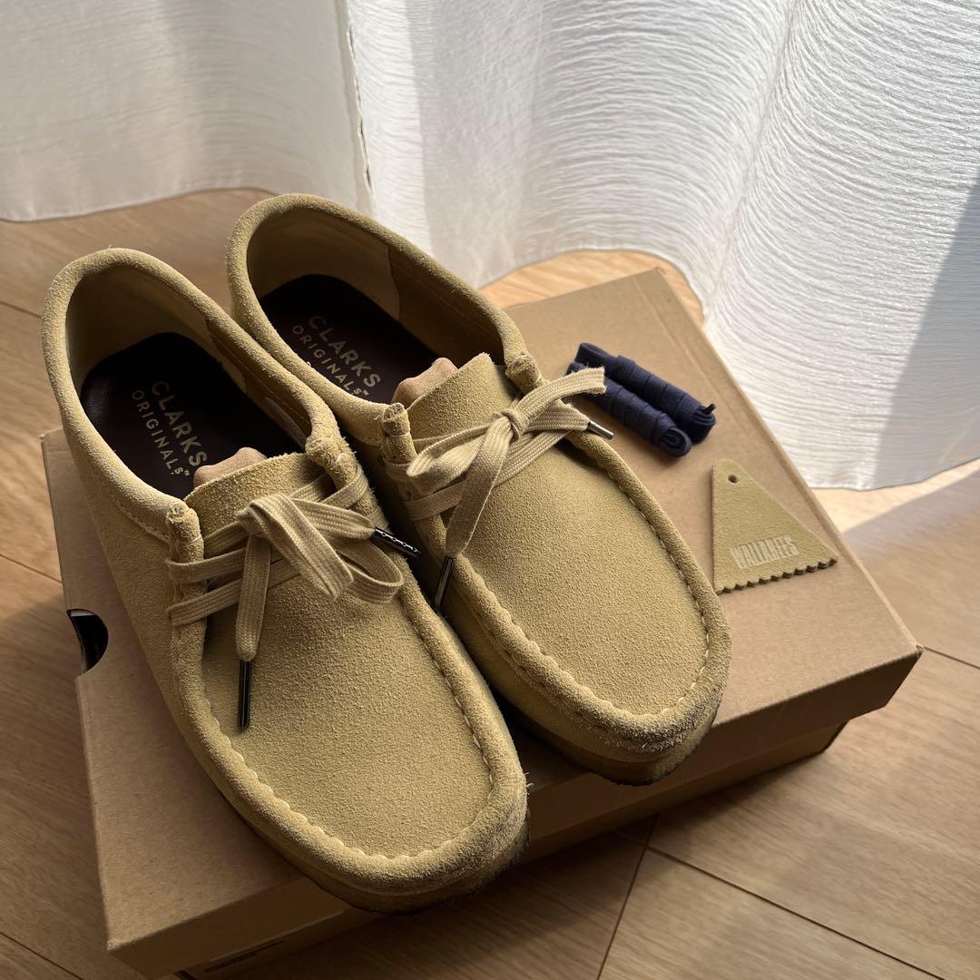 ano あのちゃん 日本武道館 しーるちょう 銀テ 落下物 ラミネートパス