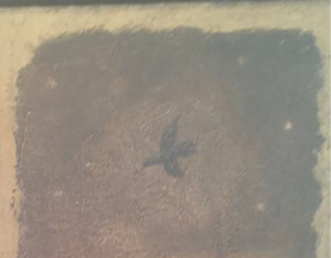 値下げ！ 山本 明比克 3号 絵画 『Rの夜』