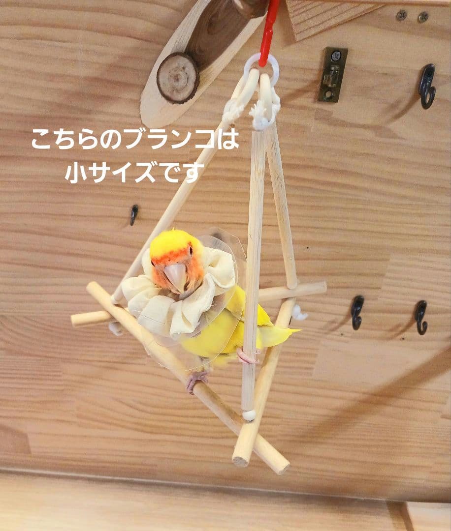 5 バードアスレチック ブランコ(大) インコ バードトイ 止まり木