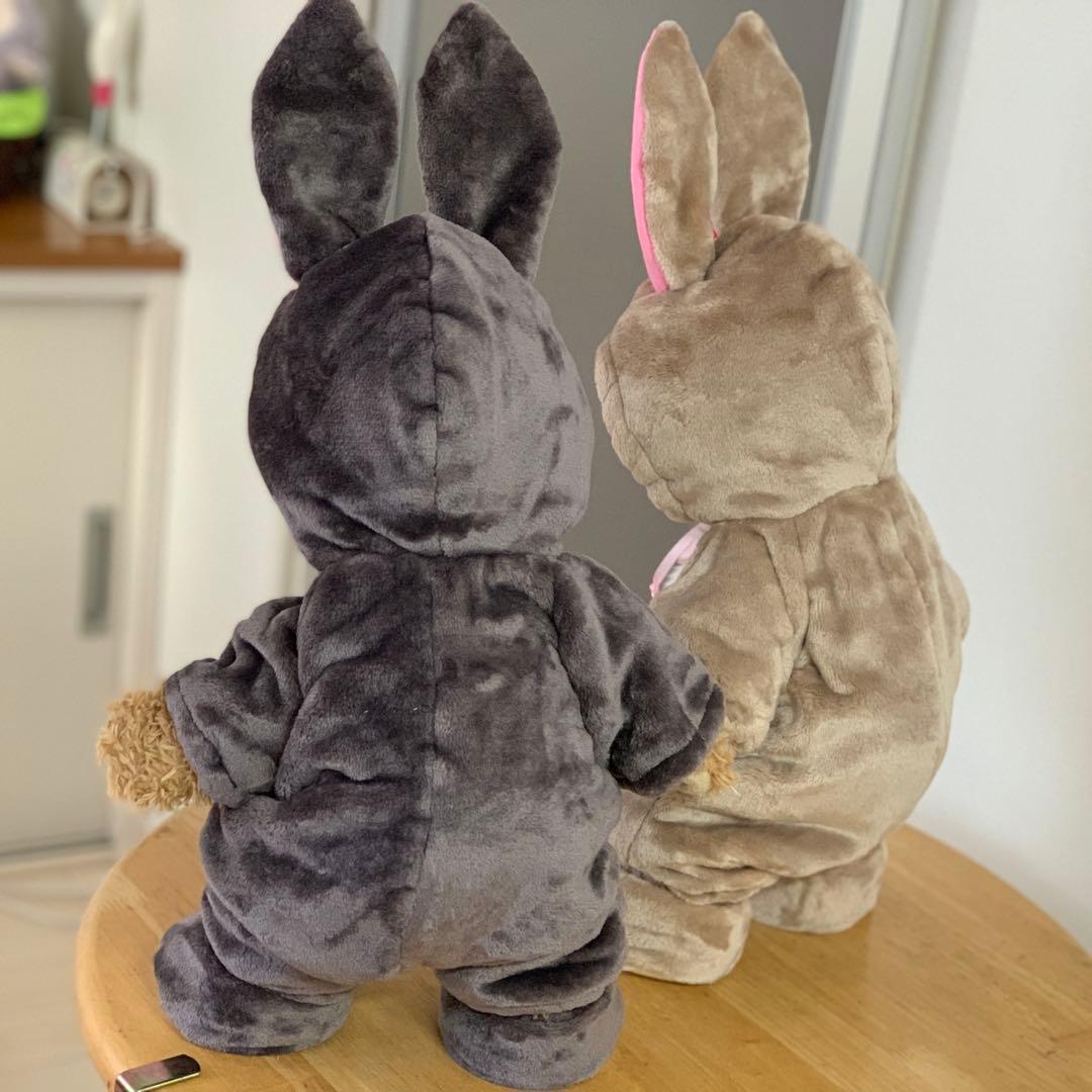 みっきー様専用 うさぎの着ぐるみ オーダーコスチューム ダッフィー衣装