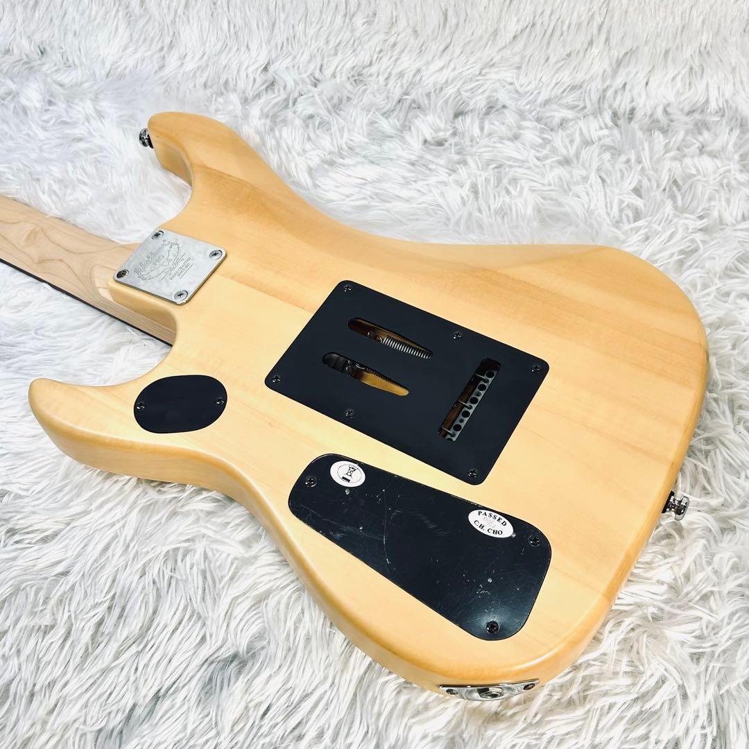 【レア美品】Washburn N1 PRO ヌーノ・ベッテンコートモデル