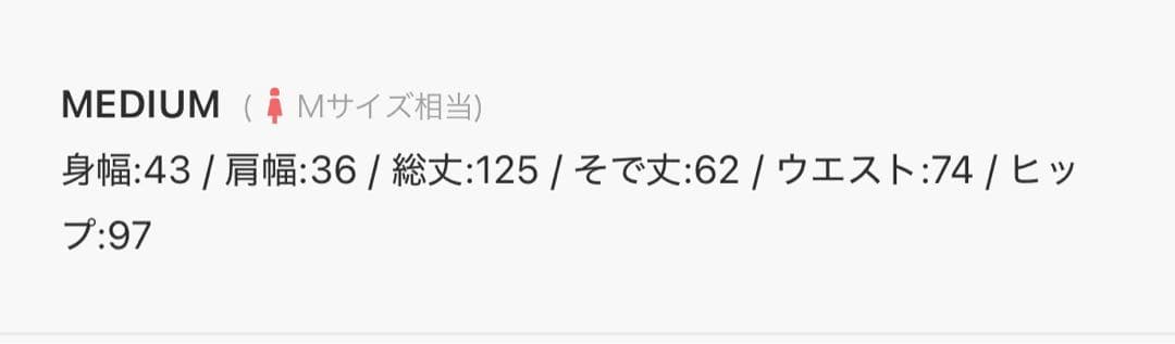 【LEJA】チュールロングスリーブリーフIラインドレスワンピース