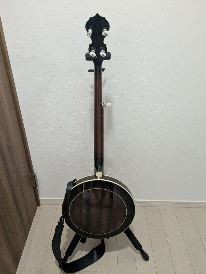5弦バンジョー