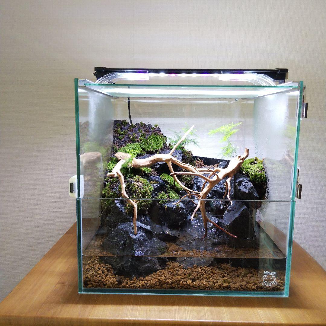 オーダーメイド】滝のあるアクアテラリウム 苔テラリウム アクアリウム