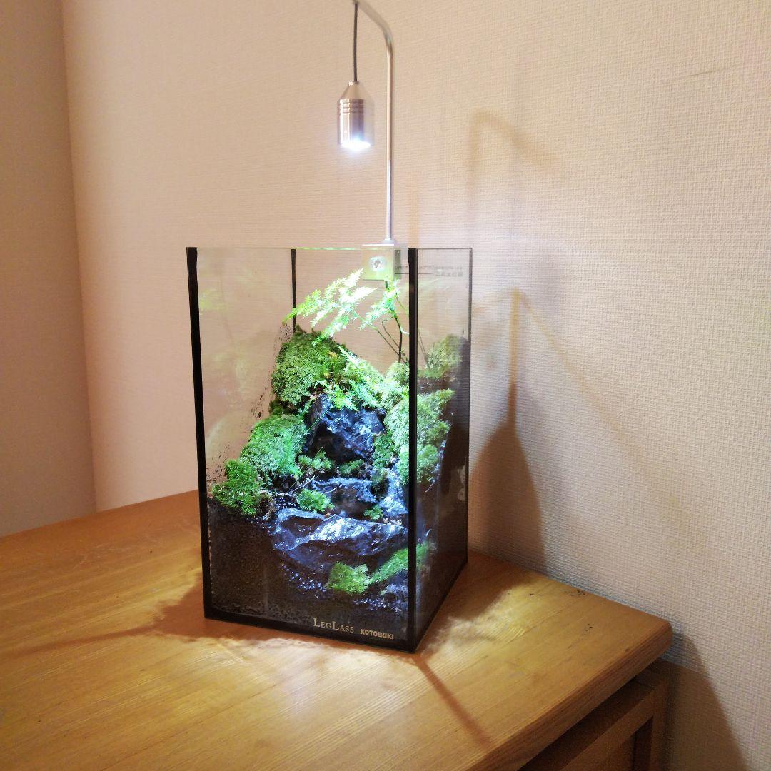 オーダーメイド】滝のあるアクアテラリウム 苔テラリウム アクアリウム