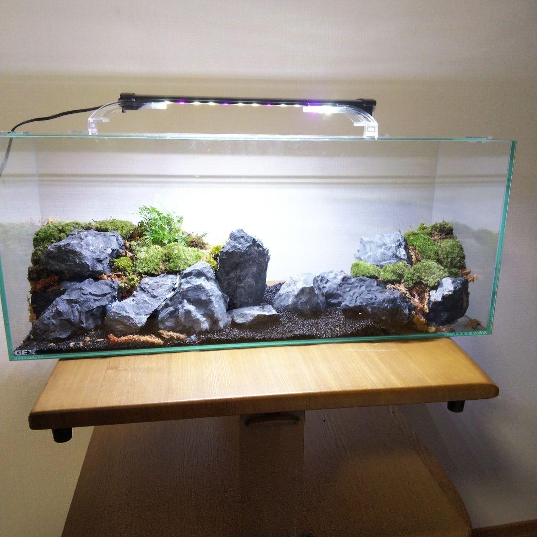 オーダーメイド】滝のあるアクアテラリウム 苔テラリウム アクアリウム