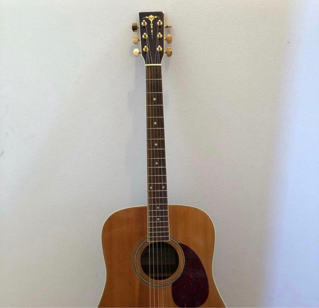 キャッツアイ　アコギ キャッツアイ ギター Cat's Eyes CE96T-Z <キャッツアイ>｜平野楽器