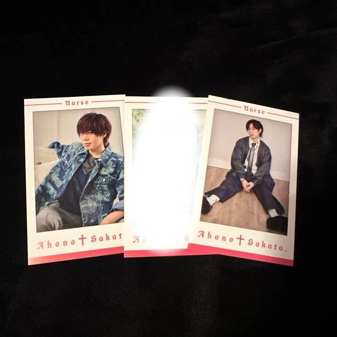 浦島坂田船 あほの坂田 となりの坂田 ランダムミニフォトカード チェキ