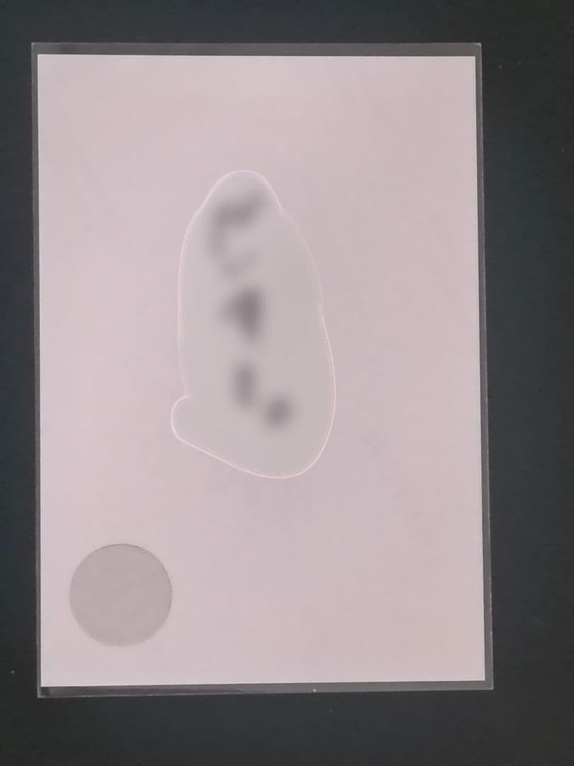 櫻坂46 向井純葉　2025年浴衣直筆　ヒキ