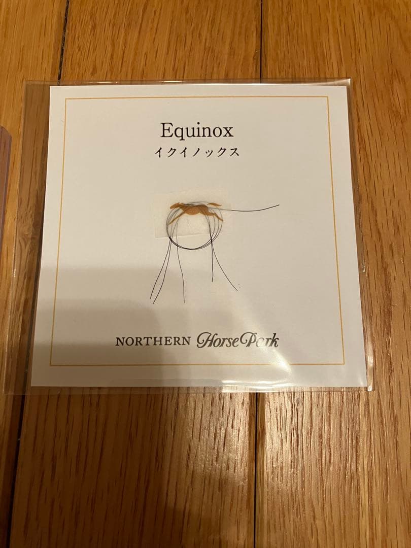 イクイノックス　鬣　たてがみ　一本 2023 天皇賞秋　馬券