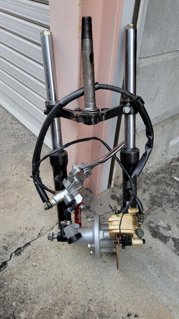 サザナミマラガシーハナムグリ3色3頭セット！特上個体！