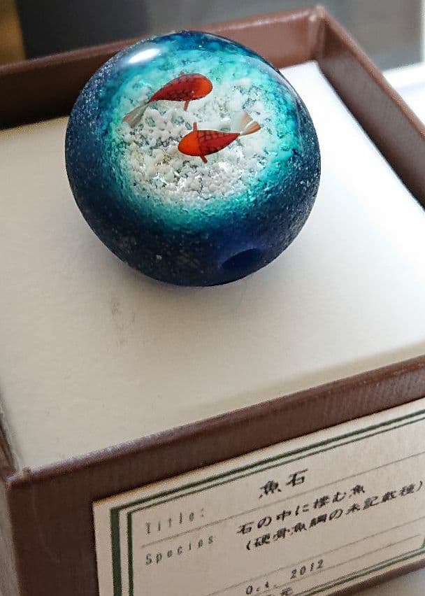 貴重です！ 増永元さん彩元堂 とんぼ玉 光る魚石 - メルカリ