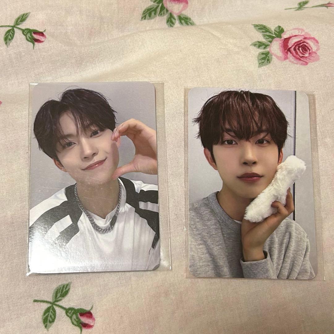 ゴヌ ショケ トレカ ald1 - メルカリ