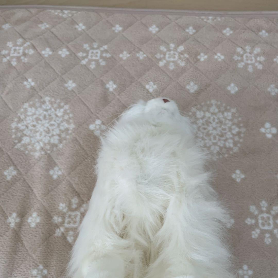 美品 猫型ロボット 夢ねこプレミアム 箱&付属品あり 可動品 セガトイズ 夢猫