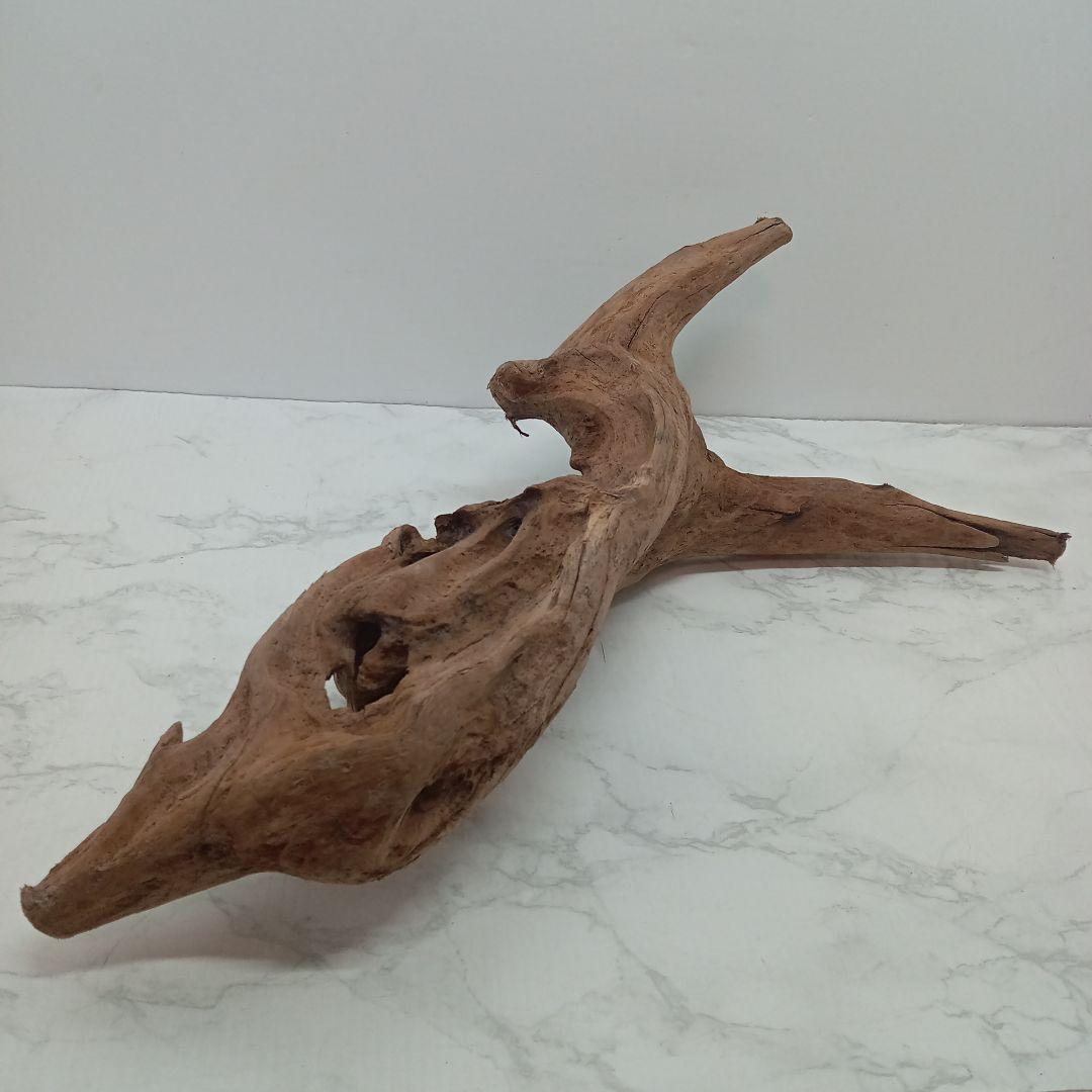 アク抜き済み流木【847】セール