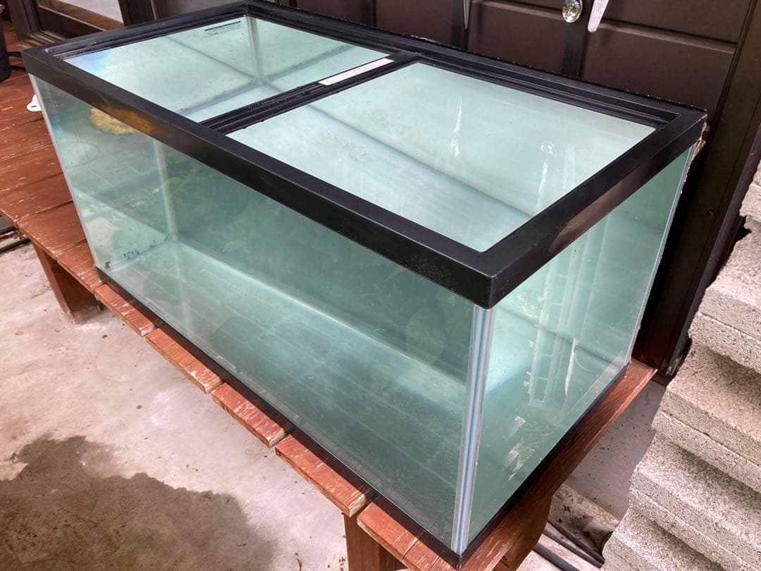 GEX 90cmレギュラーガラス水槽 楽天市場】GEX ラピレスRV90 LEDセット曲げガラス水槽 : Aquarium Zenith