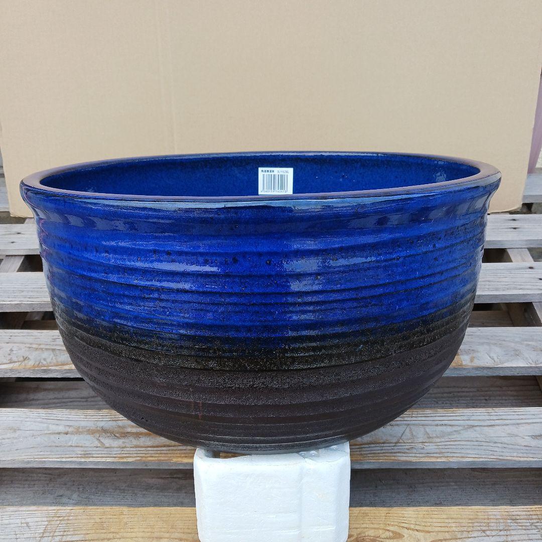 新品 特大50 陶器 睡蓮鉢 メダカ鉢 難有 ラリマーブルー スカイブルー
