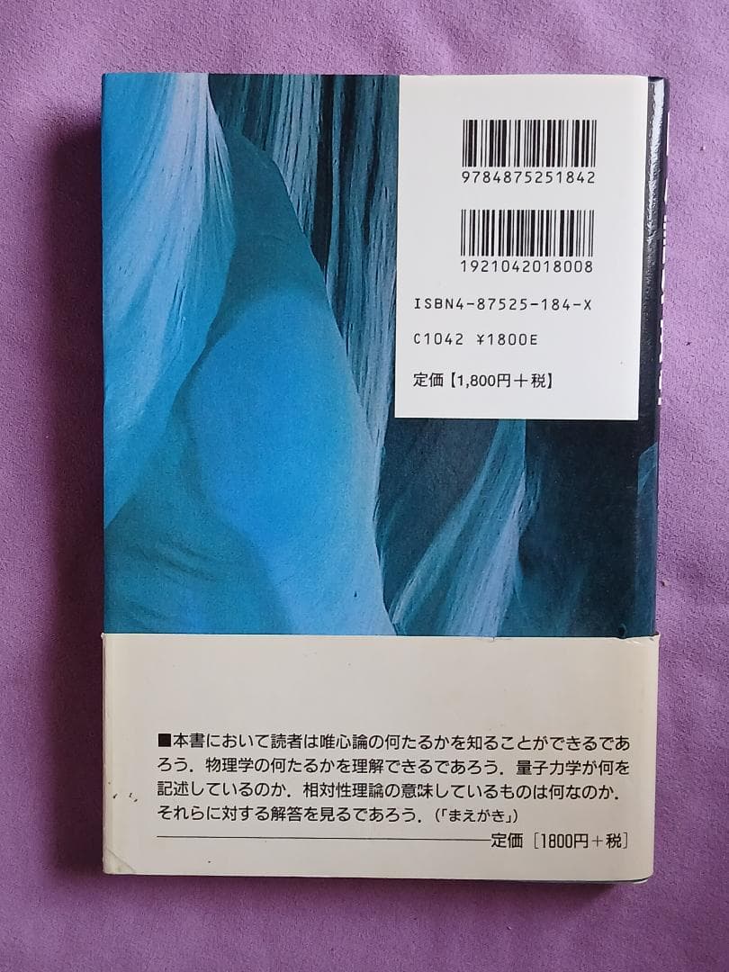 唯心論物理学の誕生「モナド・量子力学・相対性理論の統一モデルと