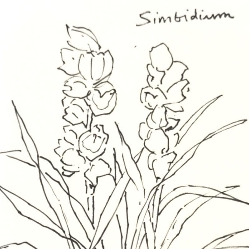 ☆坂本直行☆「 Sinbidium(シンビジウム） 」ペン画　大衣　未使用!