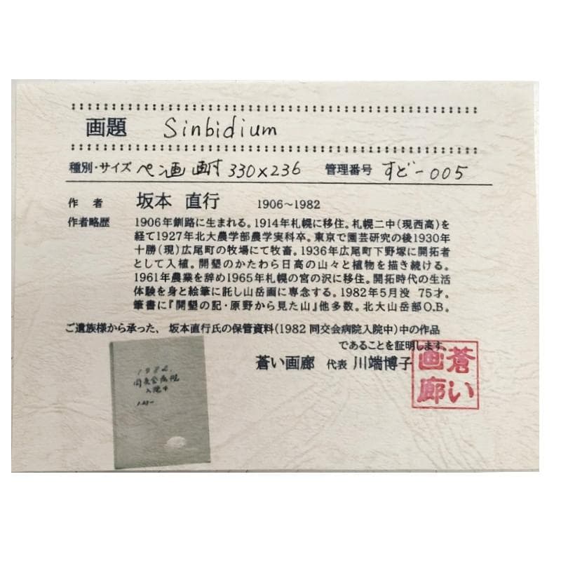 ☆坂本直行☆「 Sinbidium(シンビジウム） 」ペン画　大衣　未使用!